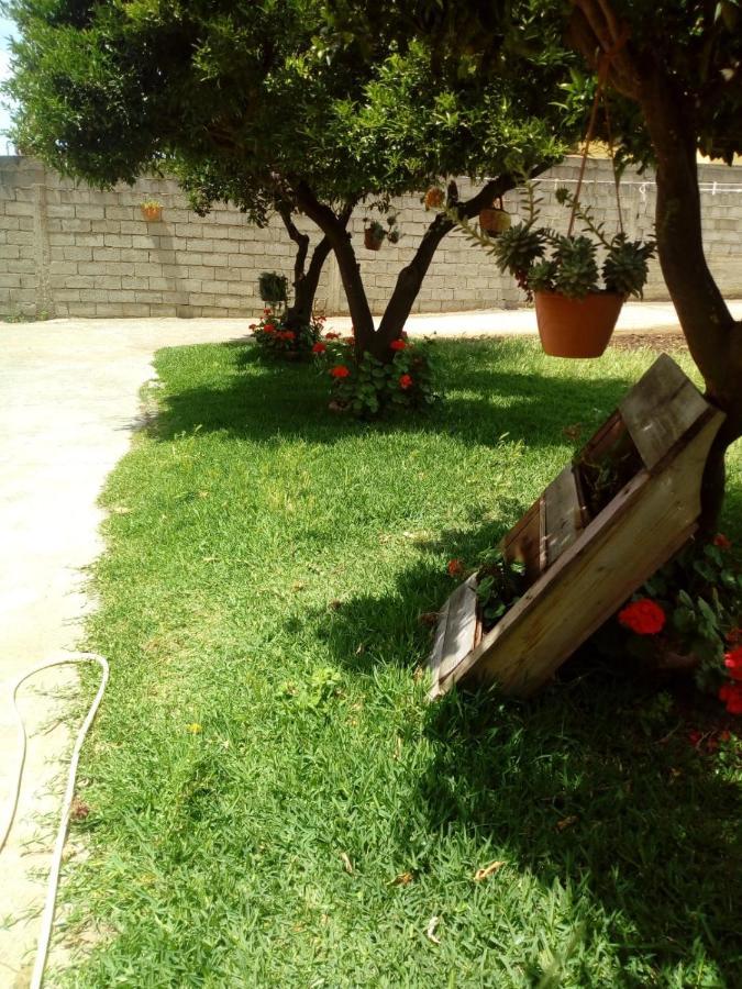 B&B Villa Del Sole Джицерия Екстериор снимка