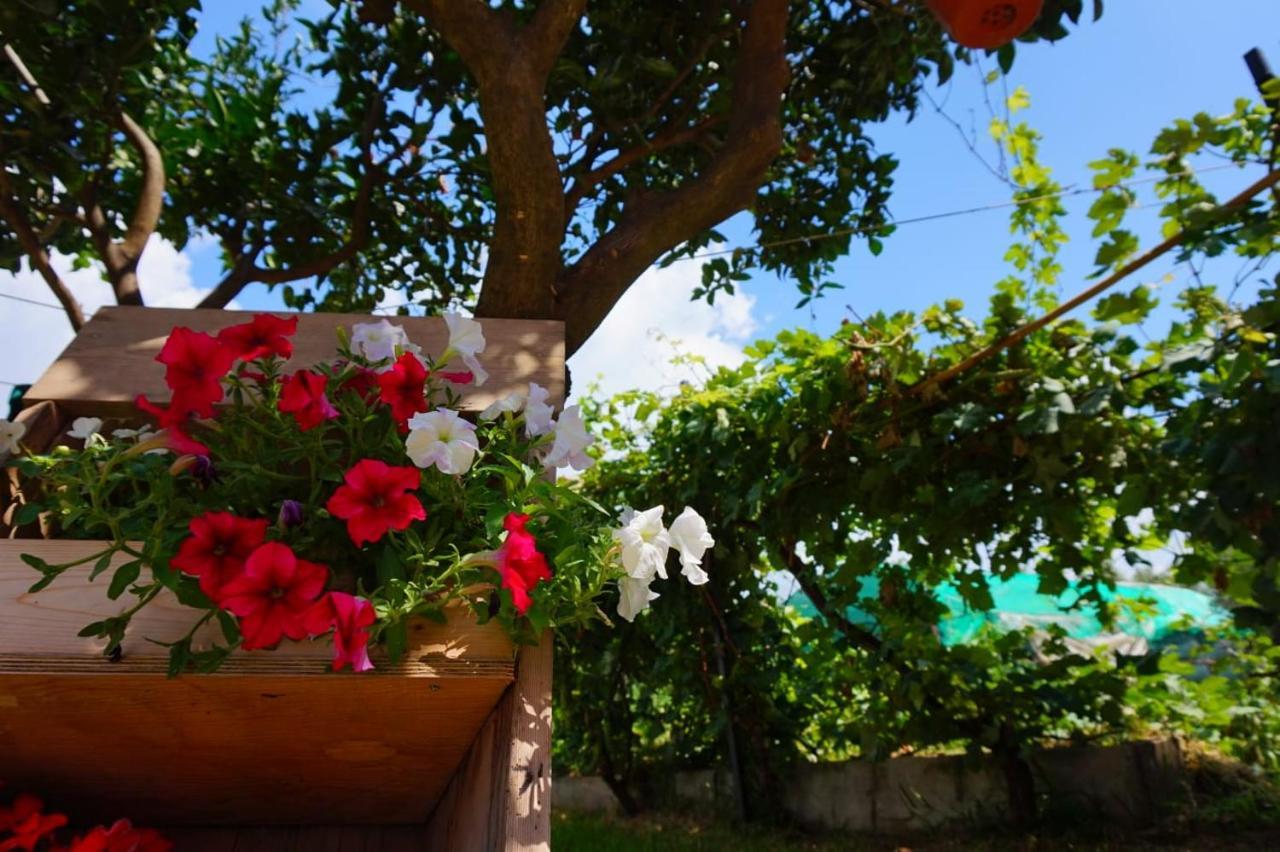 B&B Villa Del Sole Джицерия Екстериор снимка